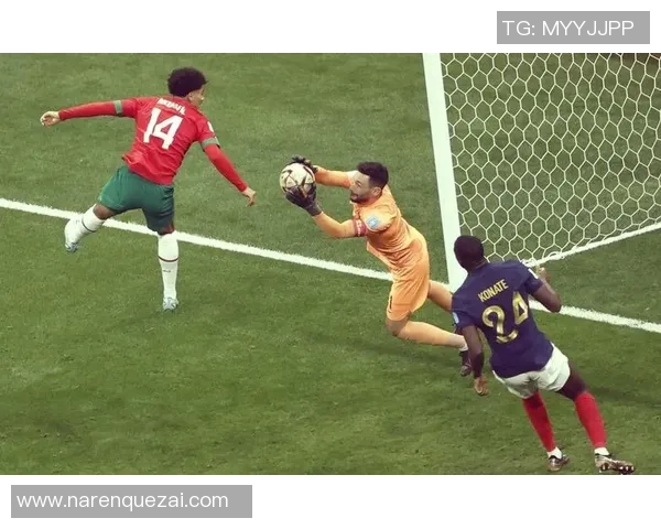 06年世界杯经典对决巴西与法国的巅峰对决回顾