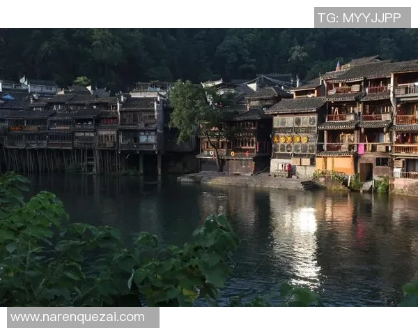 铂斯光荣与凤凰的巅峰对决谁将书写传奇新篇章